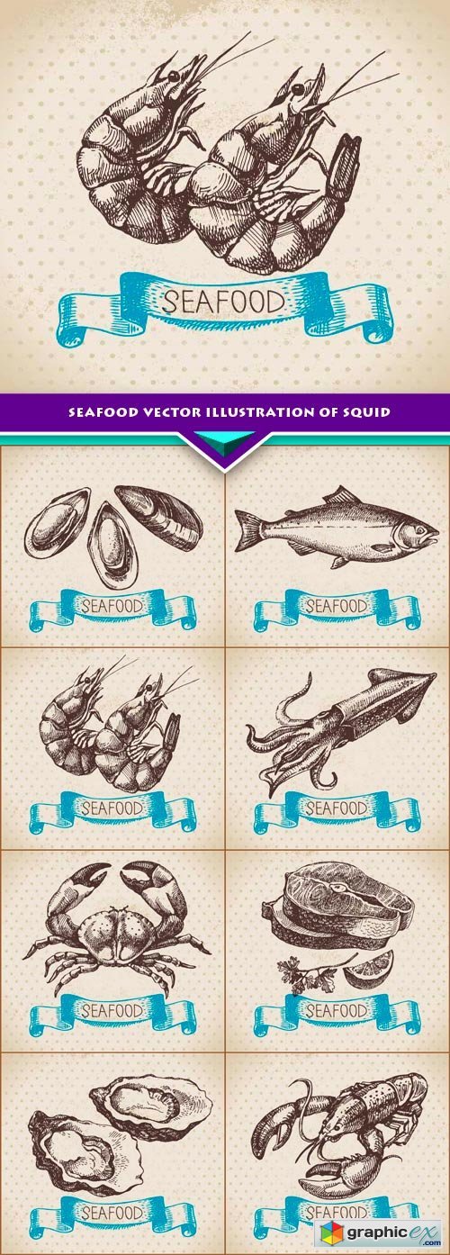 Seafood vector illustration of squid 8x EPS