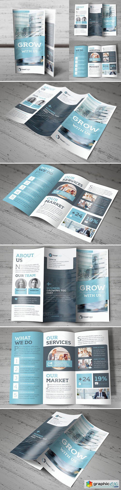Trifold Brochure 431206