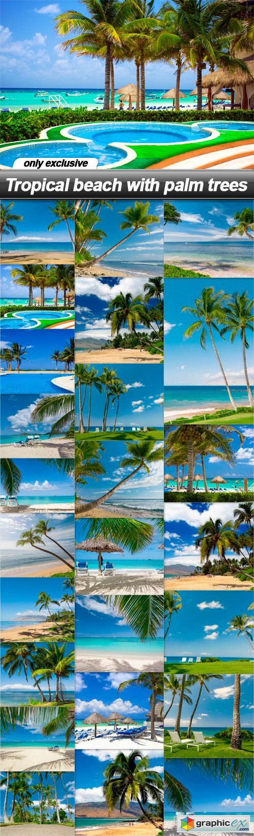 Tropical beach with palm trees - 25 UHQ JPEG