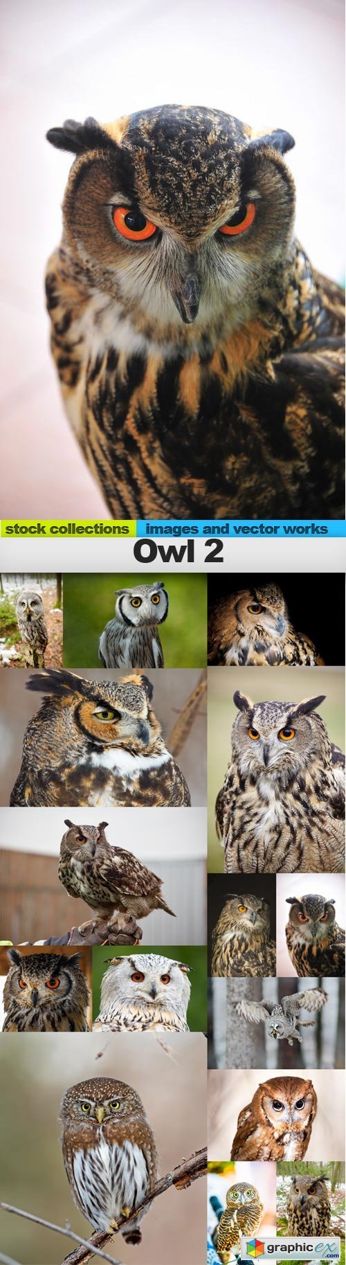 Owl 2, 15 x UHQ JPEG