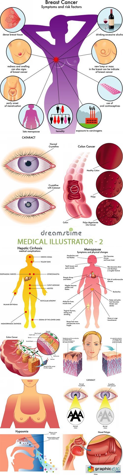Medical Illustrator - 2 - 25xEPS