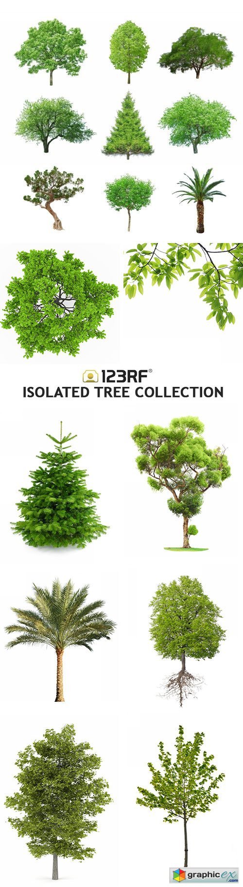 Isolated Tree Collection - 26xJPG