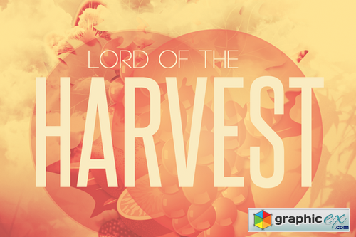 Lord of the Harvest Church Flyer