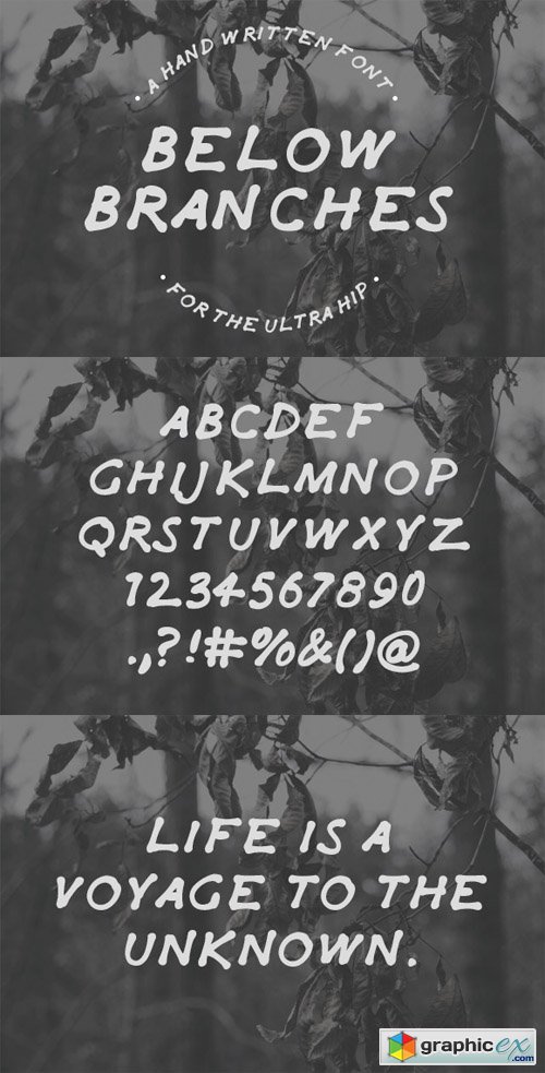 Below Branches  Hand Drawn Font