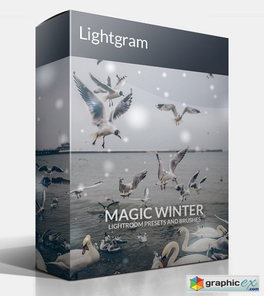 Lightgram Magic Winter Vol.I Lightroom Presets