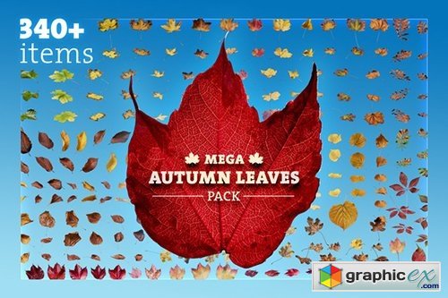 Mega Autumn Leaves Pack