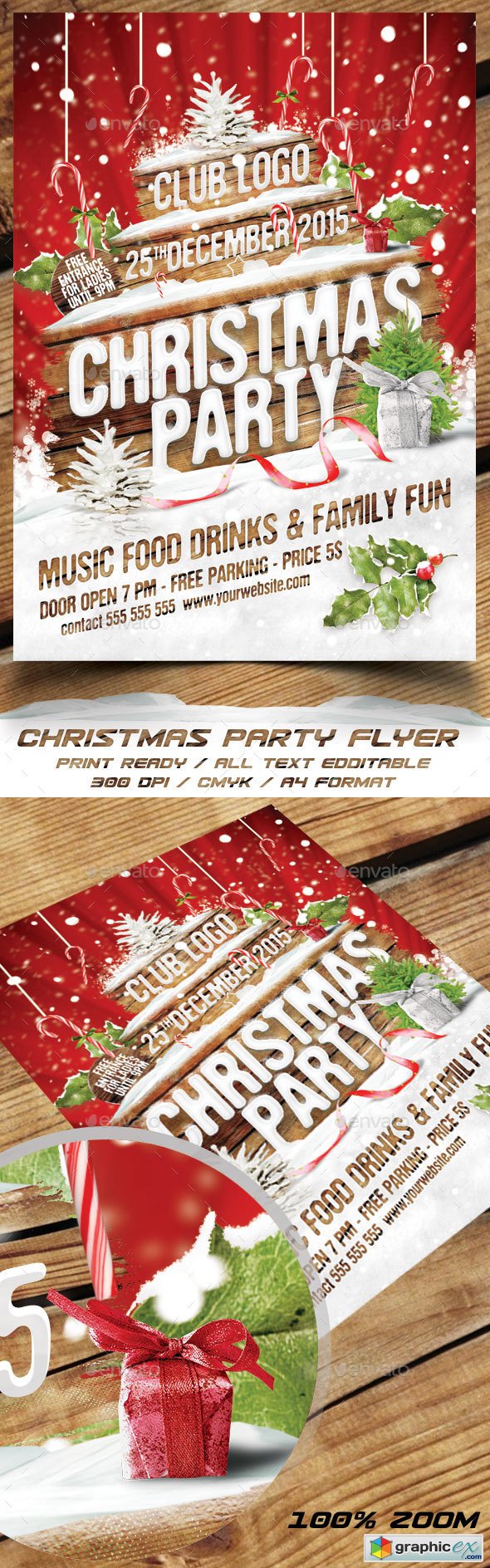 Christmas Party Flyer 13853857