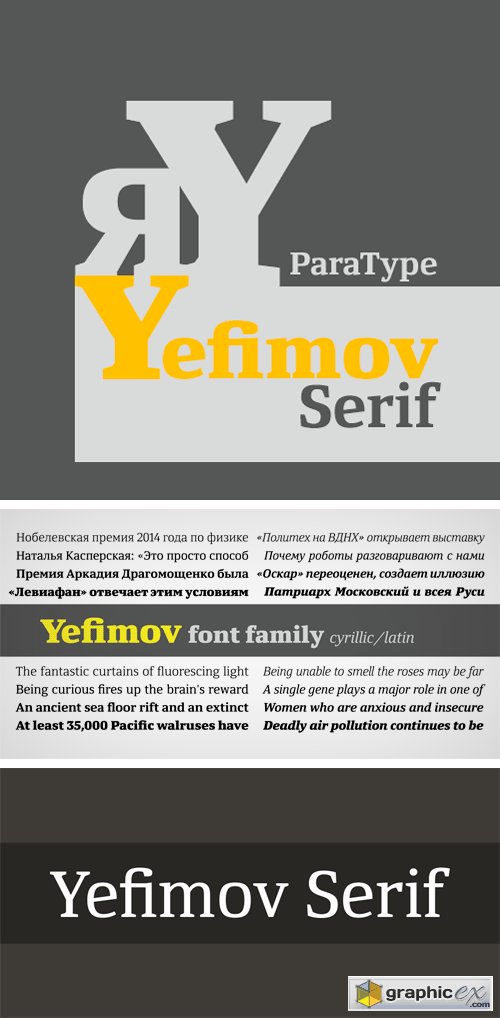 Yefimov Serif Font Family