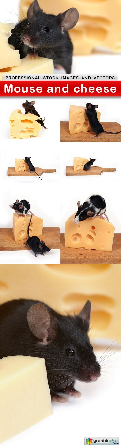 Mouse and cheese - 8 UHQ JPEG