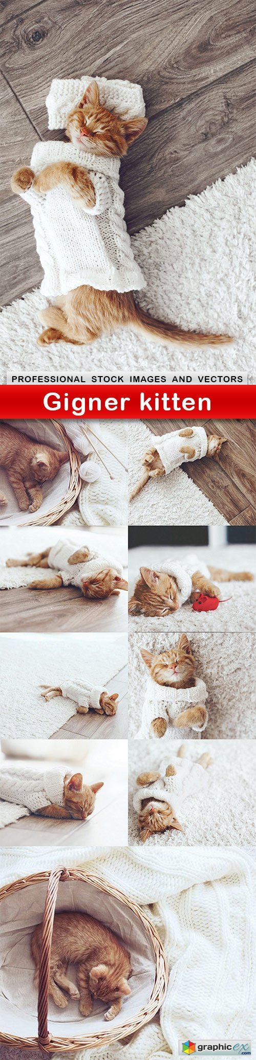 Gigner kitten - 10 UHQ JPEG
