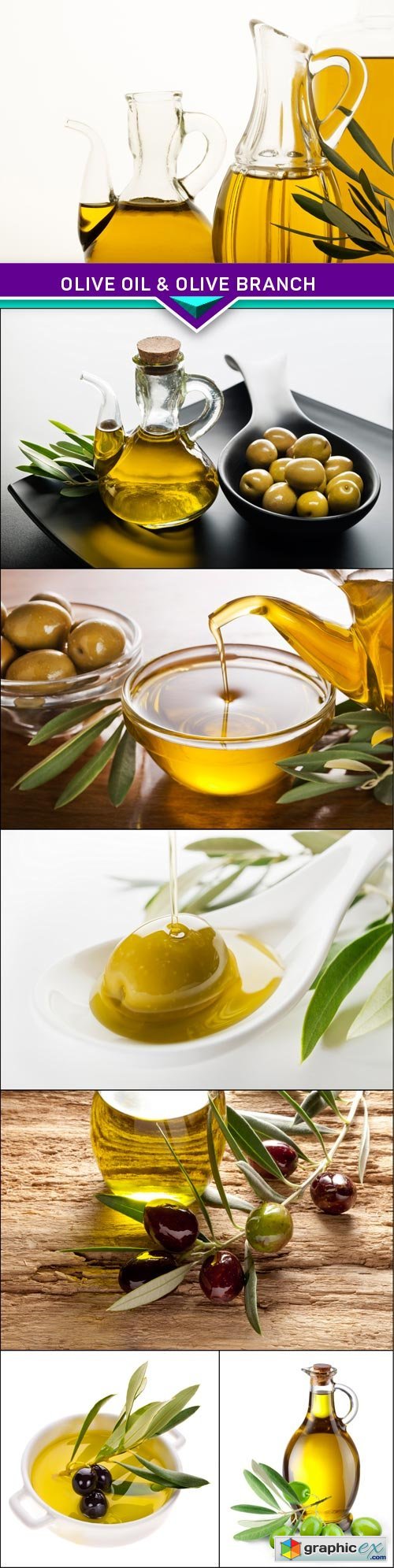 Olive oil & olive branch 7x JPEG