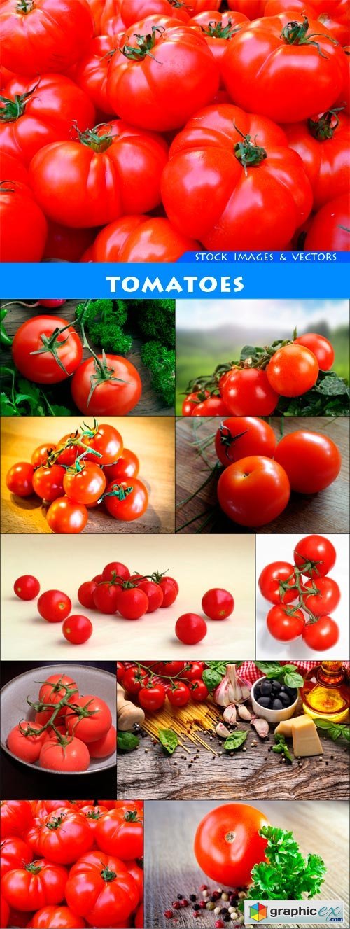 Tomatoes 10X JPEG