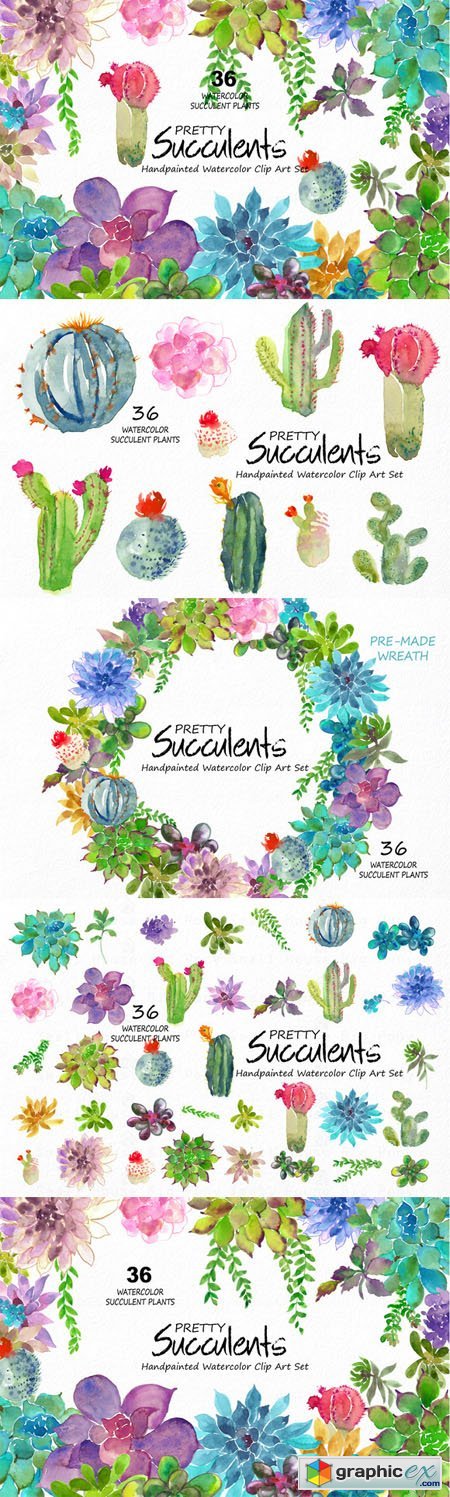 Pretty Succulents- Watercolor