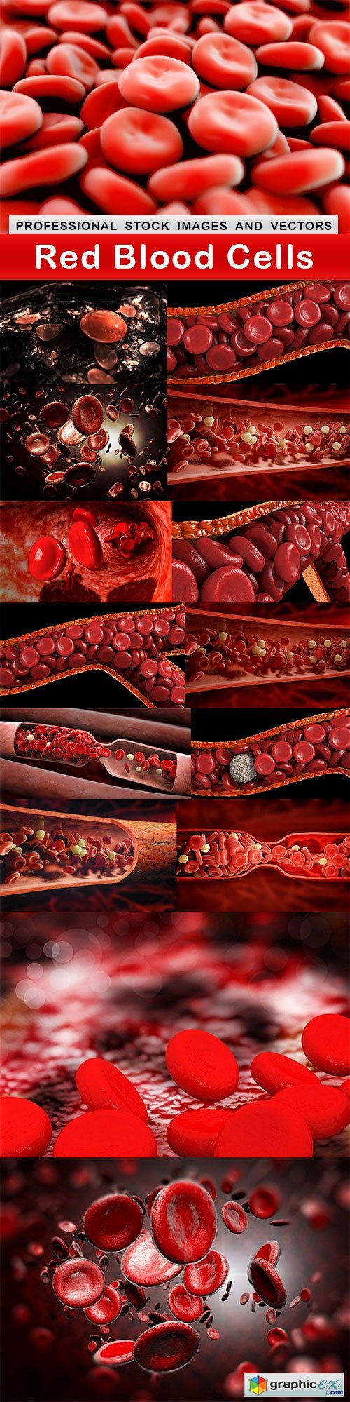Red Blood Cells - 15 UHQ JPEG