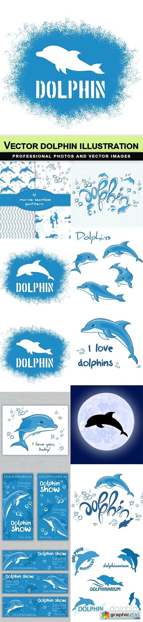 Vector dolphin illustration