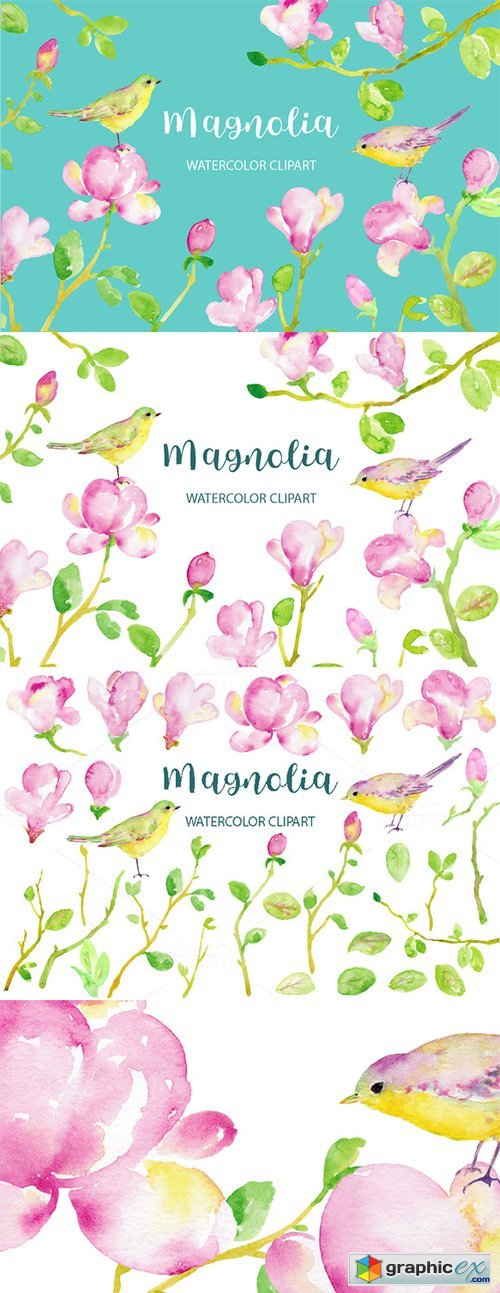 Watercolor Clipart Magnolia