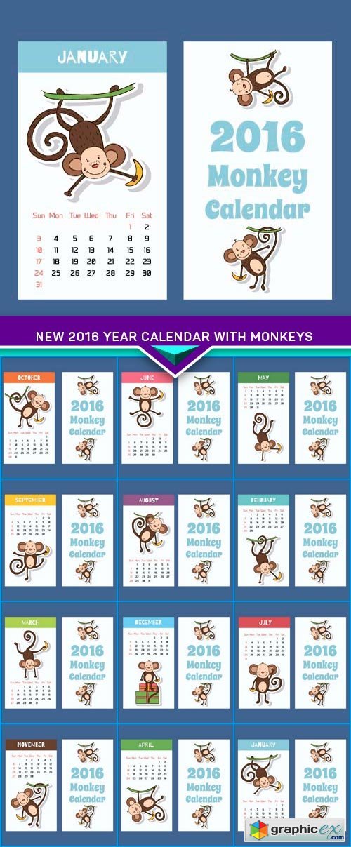 New 2016 year calendar with monkeys 12x EPS