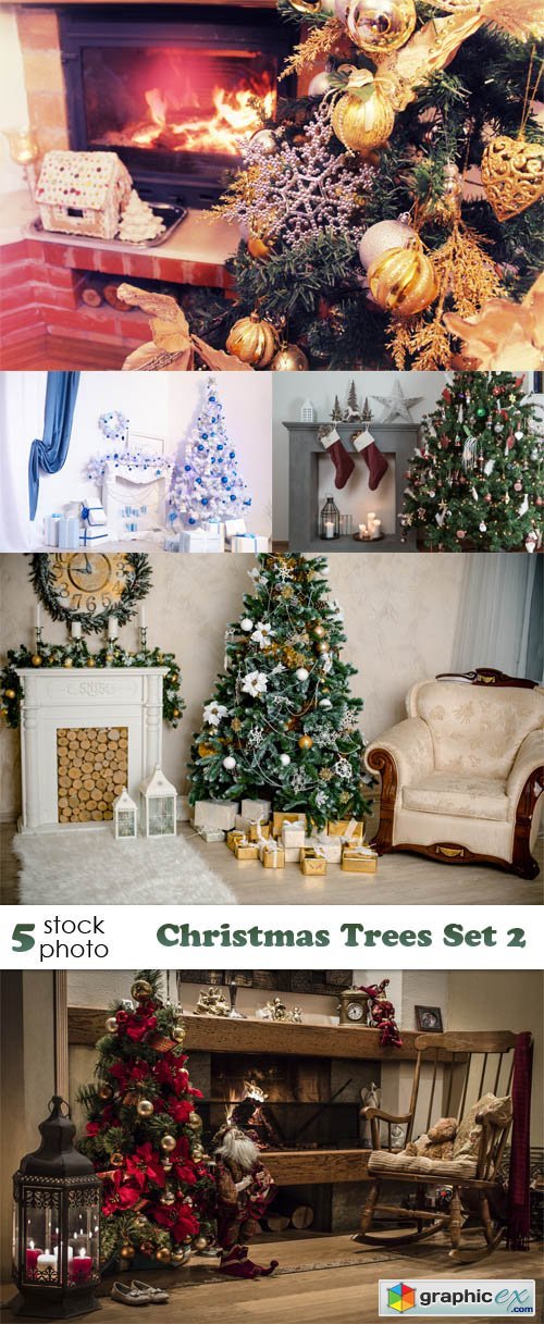 Photos - Christmas Trees Set 2