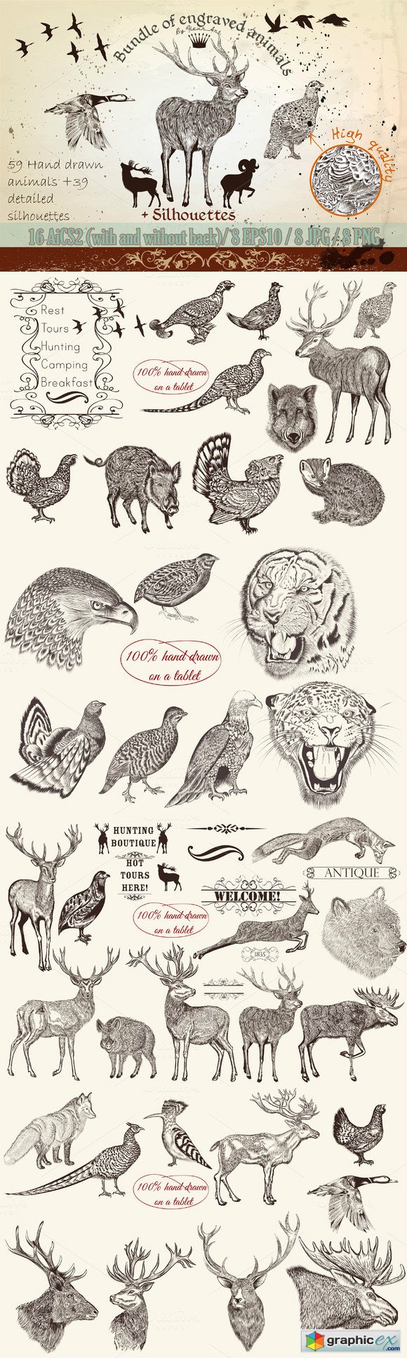 Bundle From Vector Engraved Animals