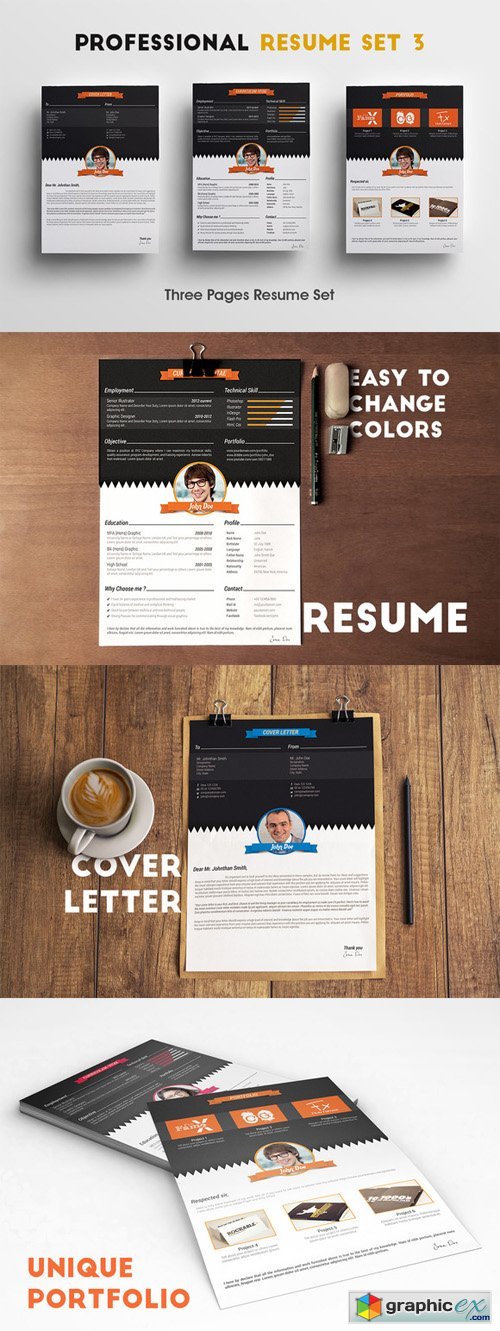 Professional Resume Set 3