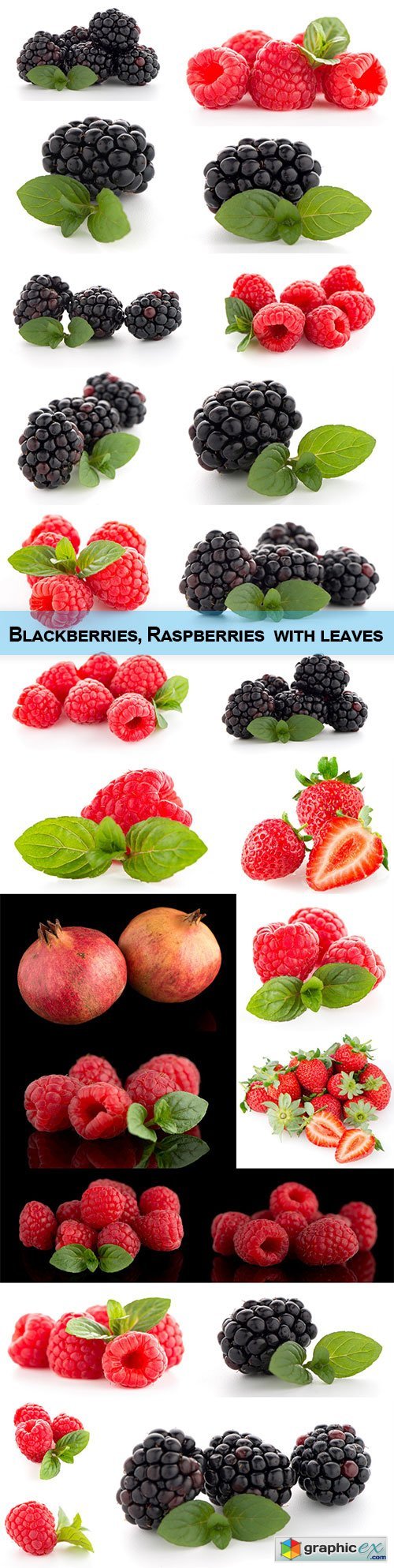 Blackberries, Raspberries with leaves
