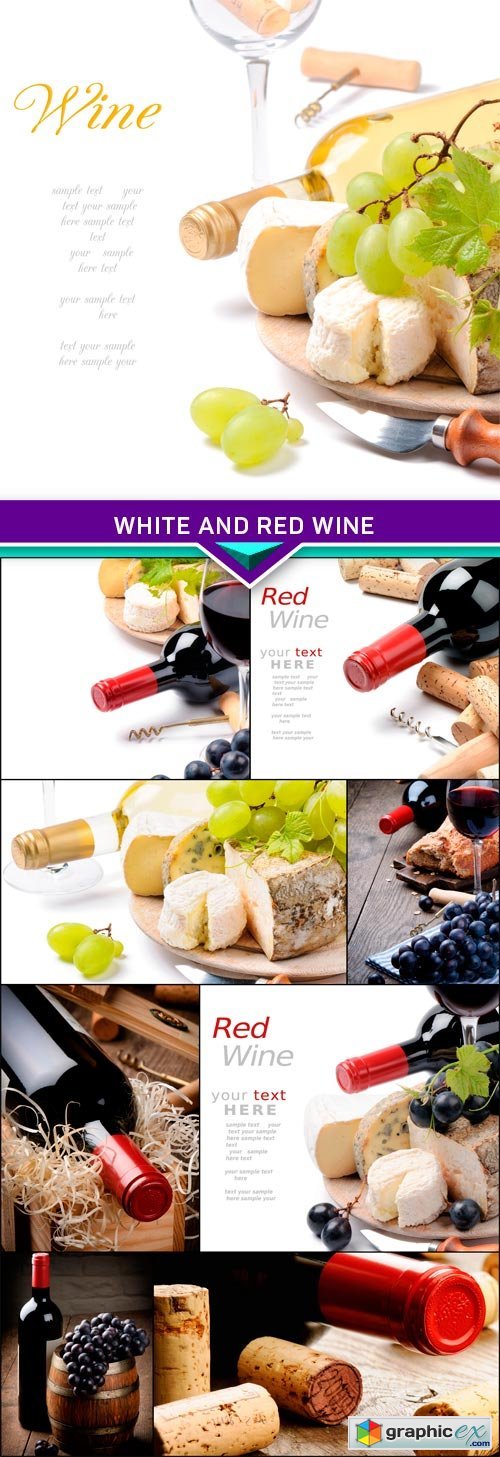White and red wine with French cheese selection 9x JPEG