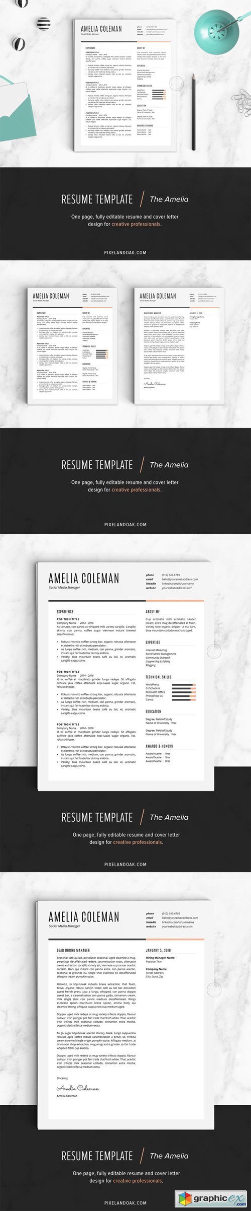 Resume Template | The Amelia