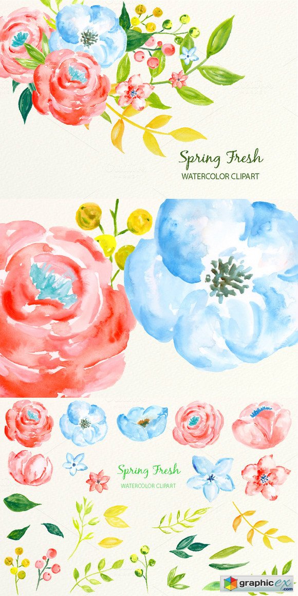 Watercolor Clipart Spring Fresh