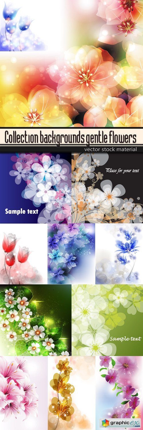 Collection backgrounds gentle flowers