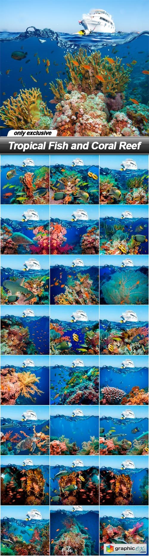 Tropical Fish and Coral Reef - 25 UHQ JPEG