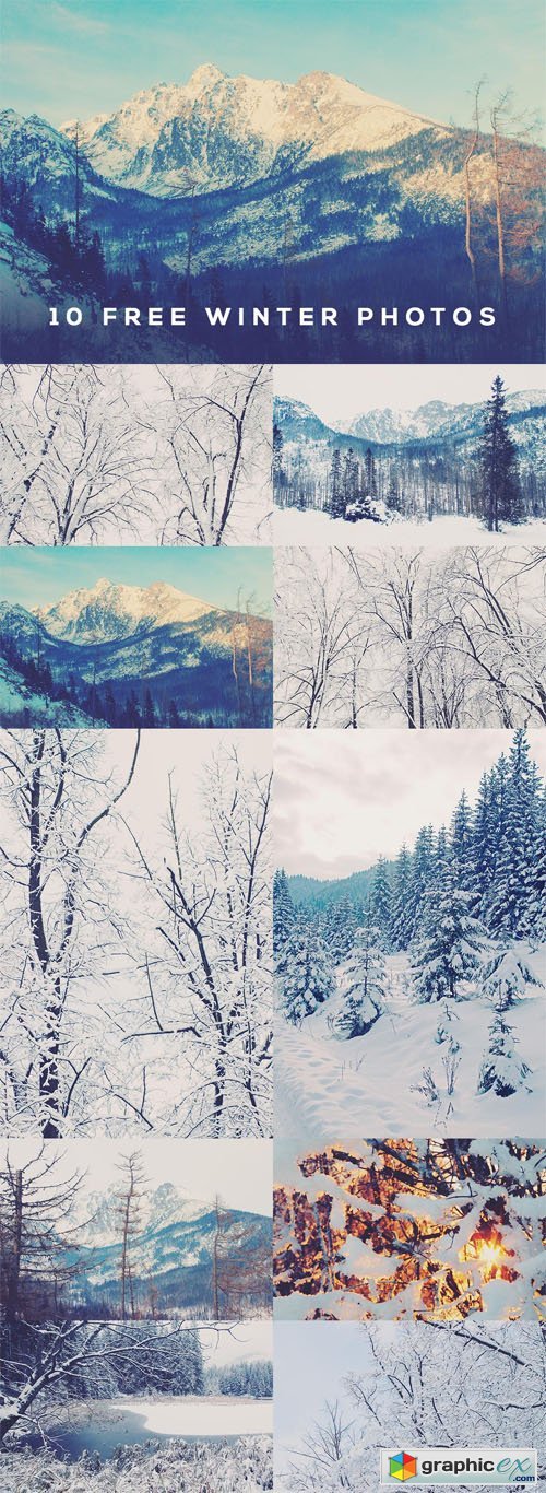 10 Winter Photos