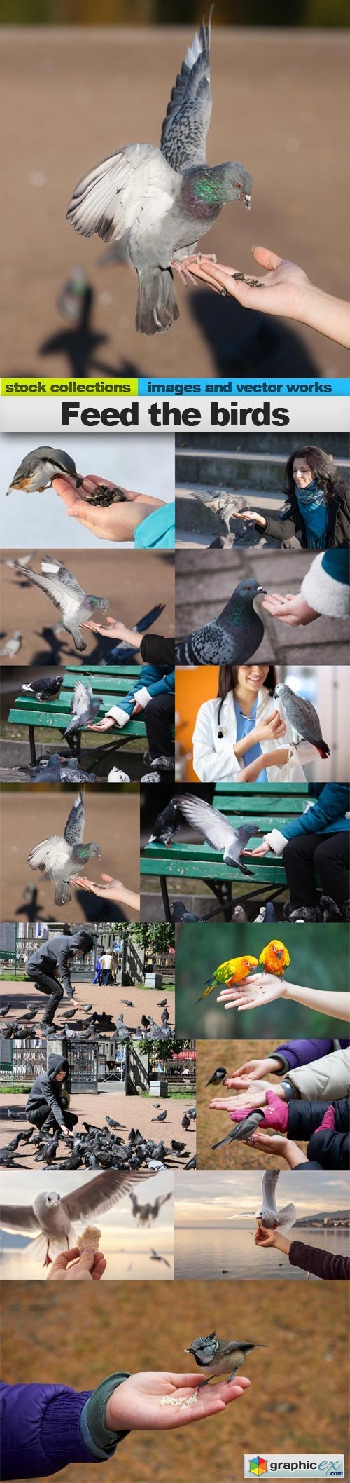 Feed the birds, 15 x UHQ JPEG