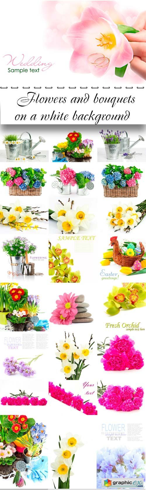 Flowers and bouquets on a white background