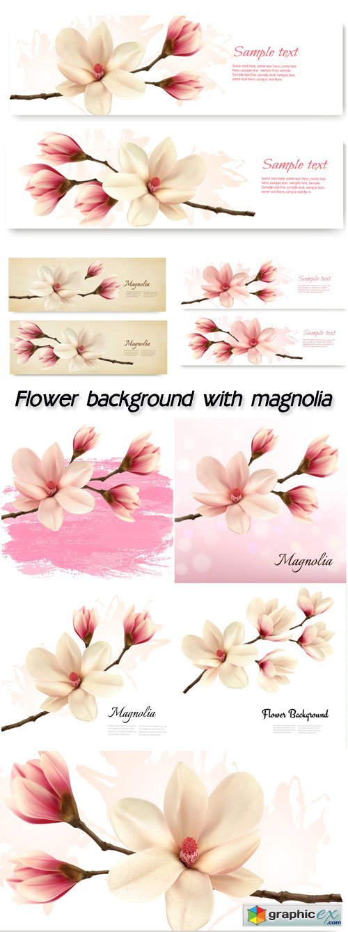 Flower background with magnolia