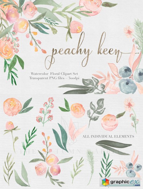 Peachy Keen Watercolor clipart Set