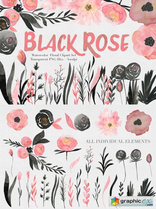 Black & Pink Rose Watercolor Set