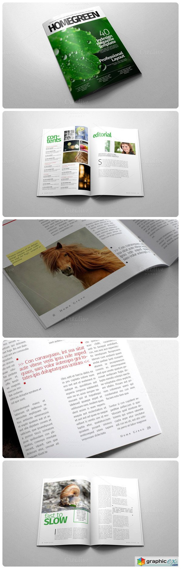 A4 Letter Indesign Magazine Template V01