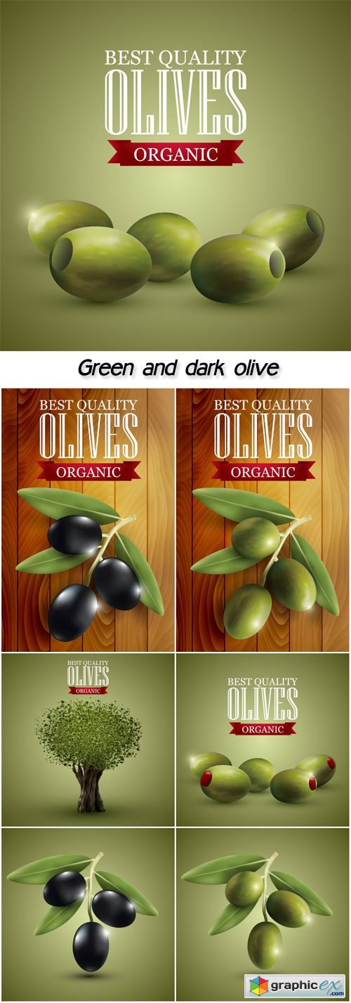 Green and dark olive branches on a green background