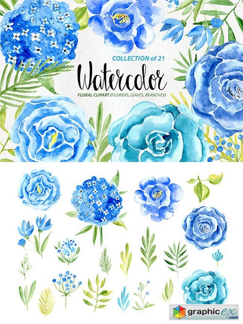 Watercolor blue flowers set