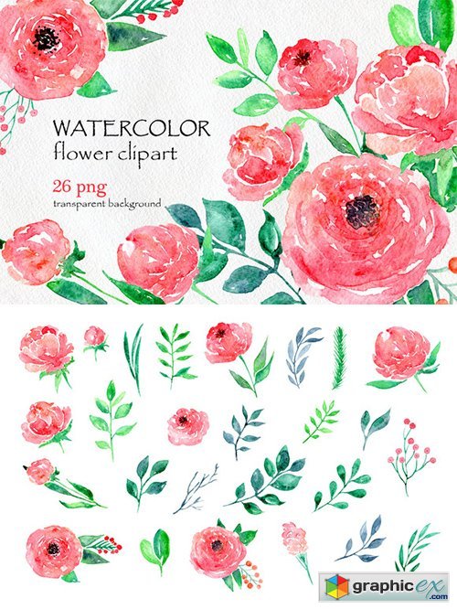 Watercolor flower peony, 26 in set