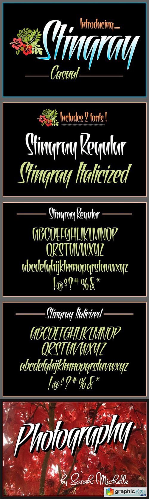 Stingray Casual Display Fonts 