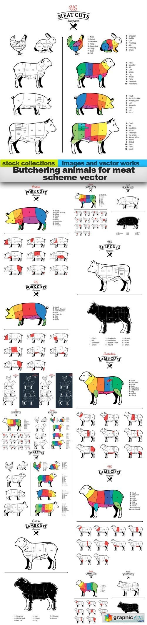 Butchering animals for meat scheme vector, 15 x EPS