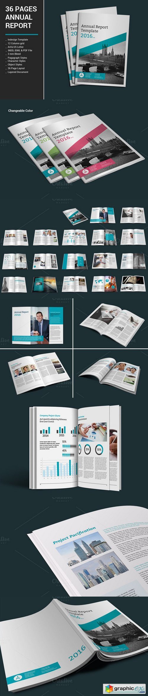 36 Pages Annual Report
