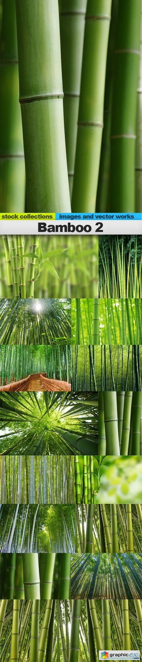 Bamboo 2, 15 x UHQ JPEG