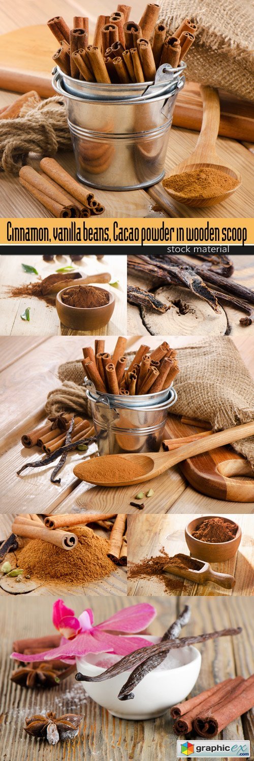 Cinnamon, vanilla beans, Cacao powder in wooden scoop
