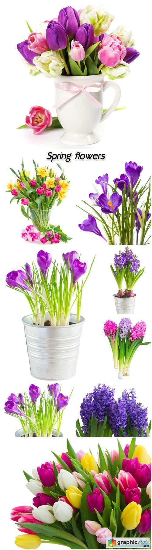Spring flowers, hyacinths, crocuses and tulips