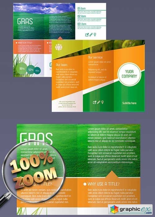 Gras Premium PSD Tri-Fold brochures by ElegantFlyer