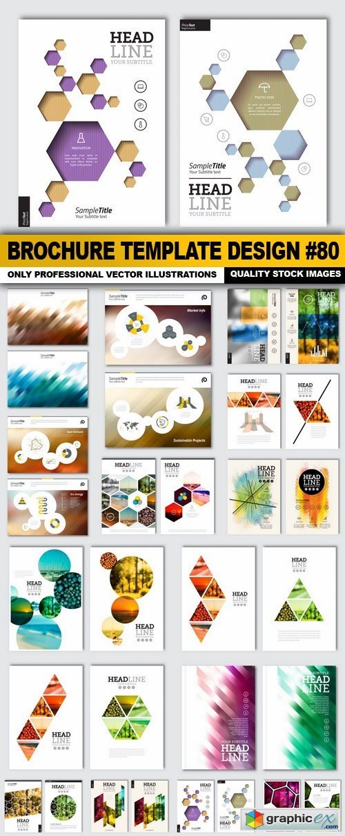 Brochure Template Design #80 - 15 Vector