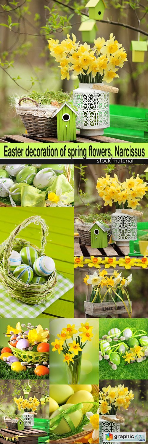 Easter decoration of spring flowers, Narcissus