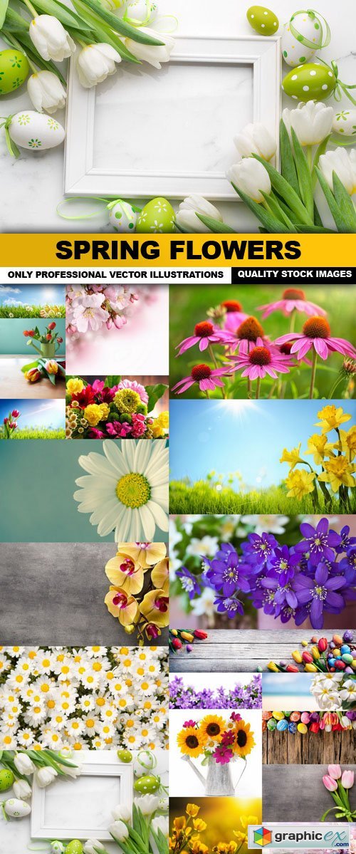 Spring Flowers - 20 HQ Images